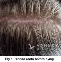 241003135606_Hair-Before Dying-s.jpg